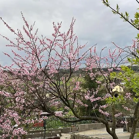 Freinestwaldviertel Hoheneich