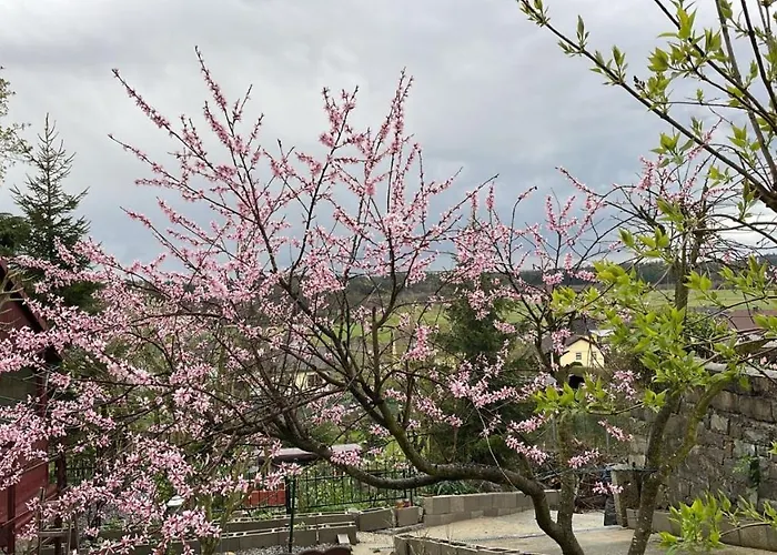 Freinestwaldviertel דירה *