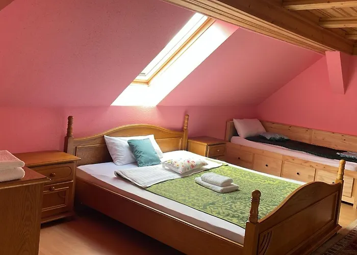 Freinestwaldviertel Apartment *