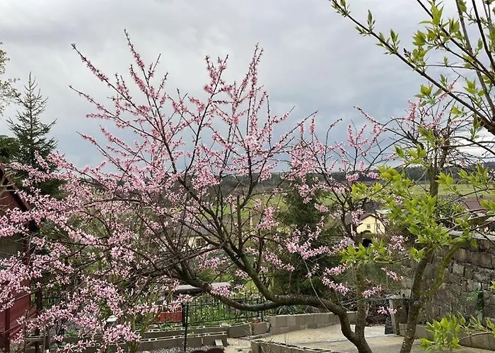 Freinestwaldviertel Hoheneich